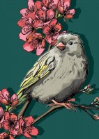 IL0159 Pauline Vogel illi Postkarte IL0159 Pauline Vogel illi Postkarte