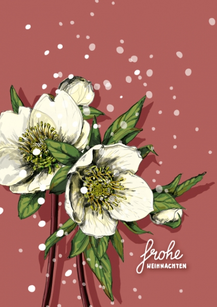 ILX0072 Julerose Postkarte illi Nürnberg Blume frohe Weihnachten