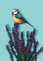 IL0272 Vogel Heido illi Postkarte Nürnberg IL0272 Vogel Heido illi Postkarte Nürnberg