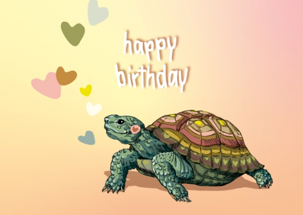 IL0469 Schildkröte Finta illi Postkarte Nürnberg Happy Birthday