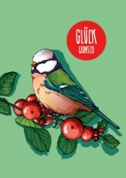 IL0259 Pimpo Vogel Glückwunsch illi Postkarte IL0259 Pimpo Vogel Glückwunsch illi Postkarte