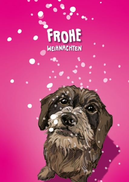 ILX0097 Sissi Frohe Weihnachten Hund Postkarte Nürnberg