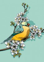 IL0215 Nilli Vogel illi Postkarte IL0215 Nilli Vogel illi Postkarte