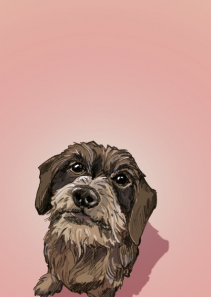 IL0442 Hund Rosa Postkarte illi Nürnberg