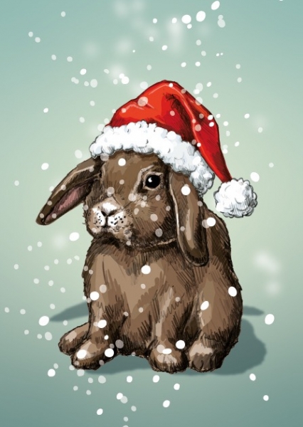 ILX0090 Hase Potti Weihnachten Postkarte Nürnberg