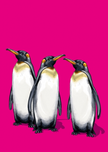 IL0384 Pimpad Postkarte illi Nürnberg Pinguine