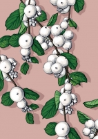 ILX0009 Binilo illi Postkarte ILX0009 Binilo illi Postkarte