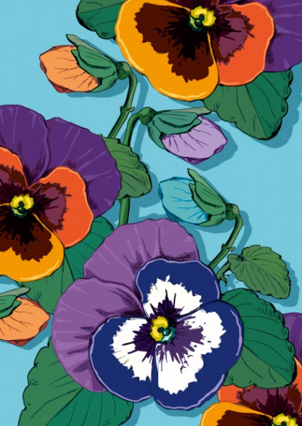 IL0211 Viola Blumen illi Postkarte