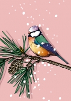 IL0269 Vogel Nila illi Postkarte Weihnachten Nürnberg IL0269 Vogel Nila illi Postkarte Weihnachten Nürnberg