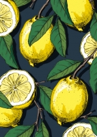 IL0279 Zinba Zitronen Postkarte illi Nürnberg IL0279 Zinba Zitronen Postkarte illi Nürnberg